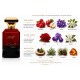 FUTOON EDP 100ML FUTOON EDP 100ML
